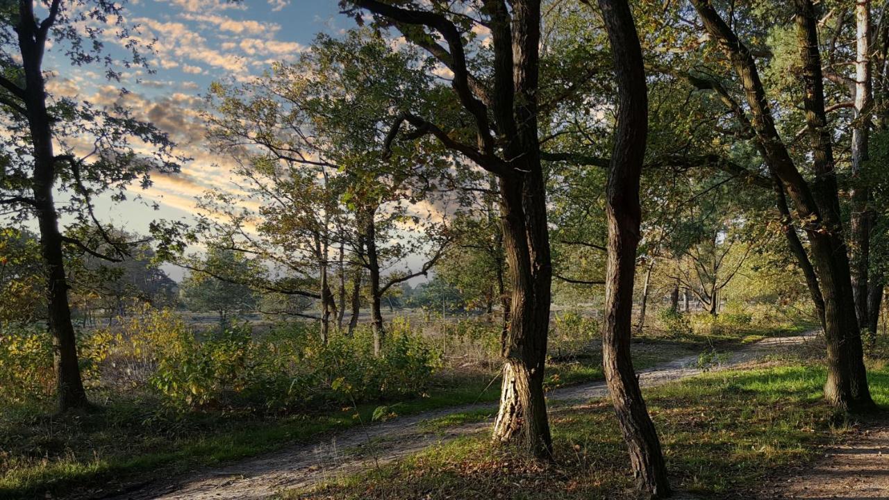 Fewo Grafschaft Нордгорн Екстер'єр фото