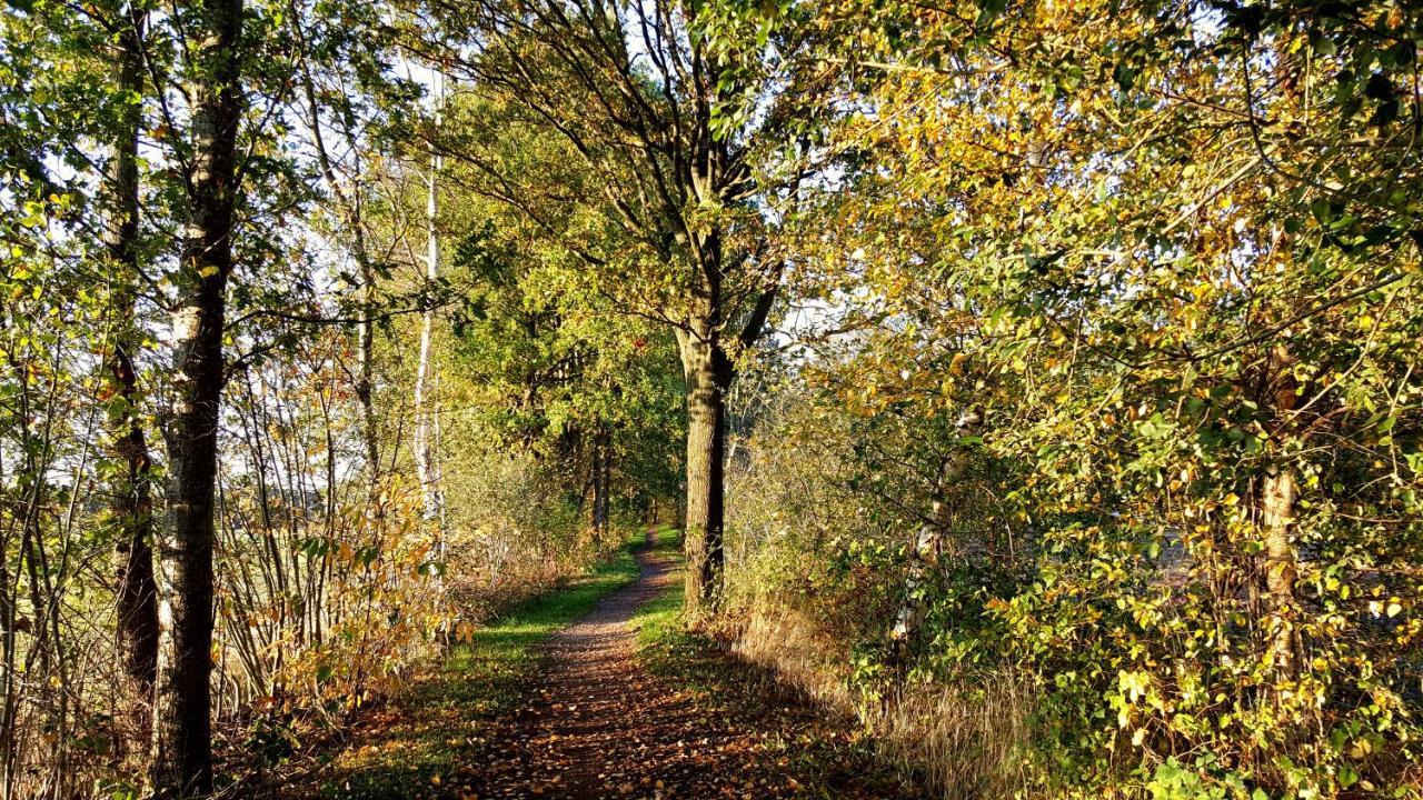 Fewo Grafschaft Нордгорн Екстер'єр фото