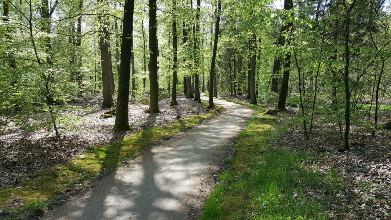 Fewo Grafschaft Нордгорн Екстер'єр фото